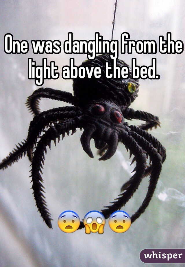 One was dangling from the light above the bed. 





😨😱😨