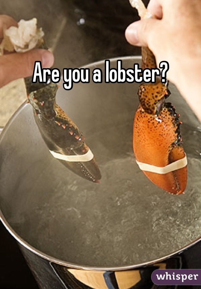 Are you a lobster?