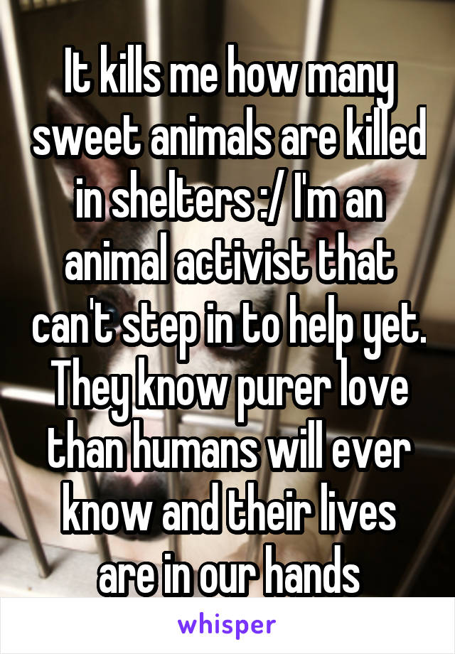 It kills me how many sweet animals are killed in shelters :/ I'm an animal activist that can't step in to help yet. They know purer love than humans will ever know and their lives are in our hands