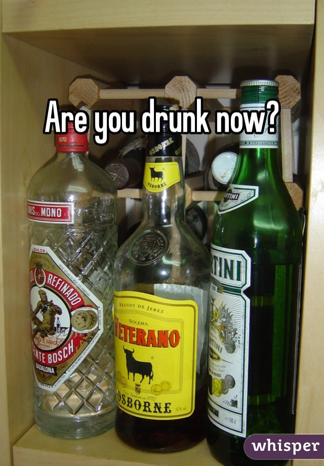 Are you drunk now?
