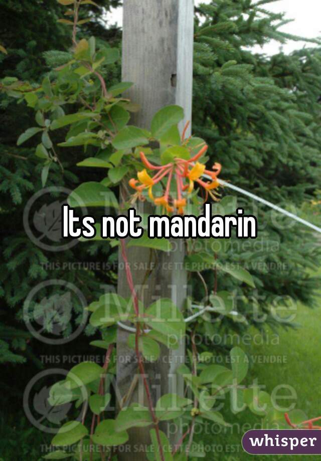 Its not mandarin