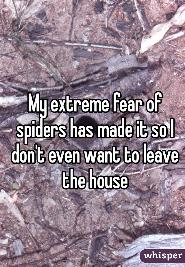 My extreme fear of spiders has made it so I don't even want to leave the house