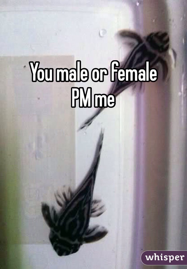 You male or female
PM me