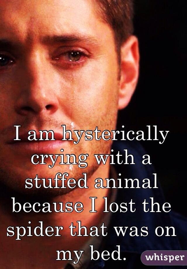 I am hysterically crying with a stuffed animal because I lost the spider that was on my bed.  