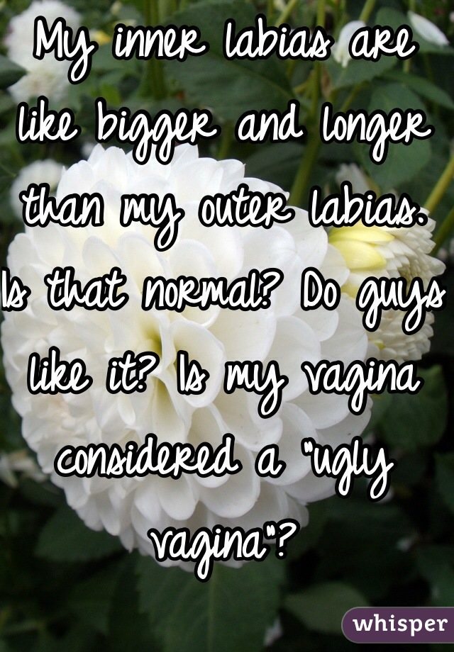 My inner labias are like bigger and longer than my outer labias. Is that normal? Do guys like it? Is my vagina considered a "ugly vagina"?