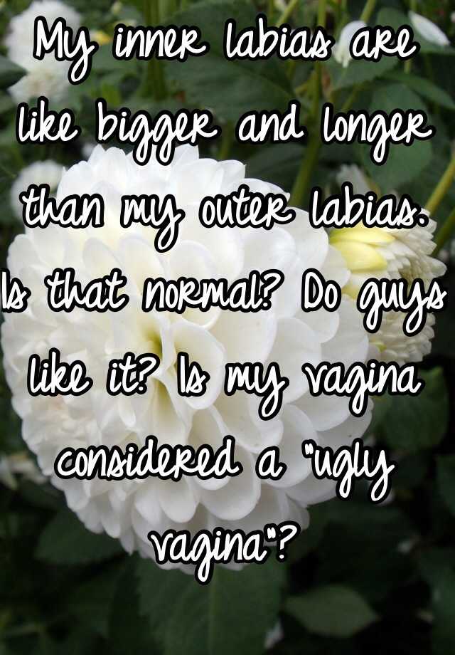 My inner labias are like bigger and longer than my outer labias. Is that normal? Do guys like it? Is my vagina considered a "ugly vagina"?