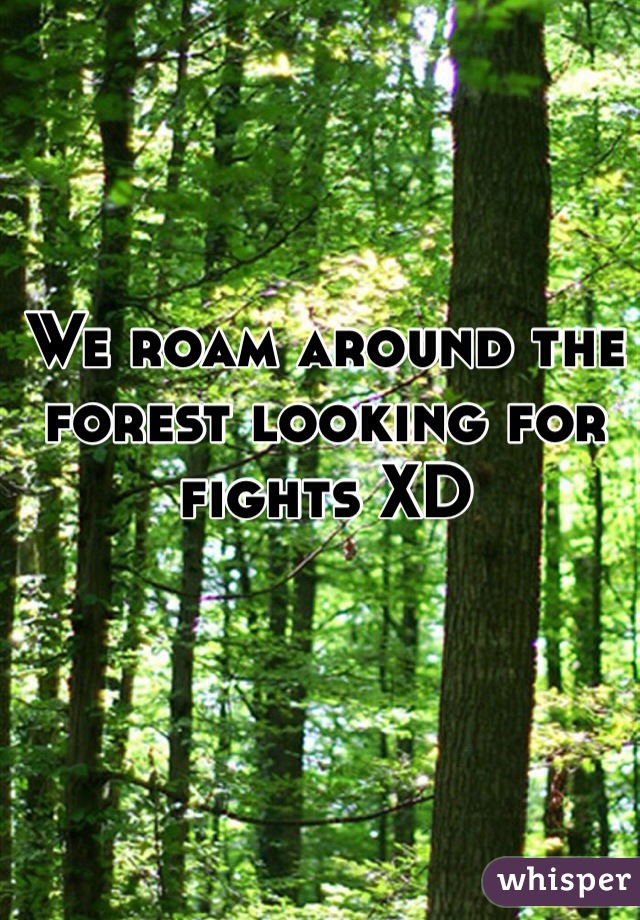 We roam around the forest looking for fights XD 