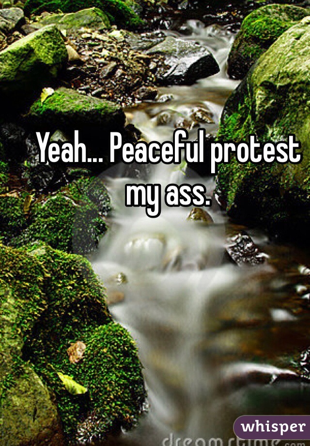 Yeah... Peaceful protest my ass.