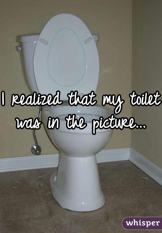 I realized that my toilet was in the picture... 