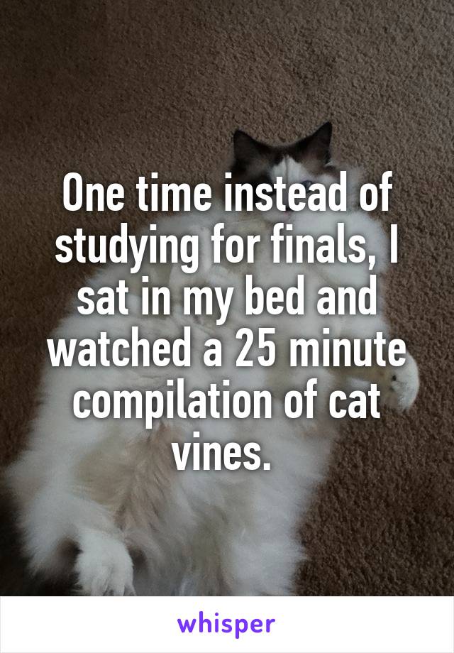 One time instead of studying for finals, I sat in my bed and watched a 25 minute compilation of cat vines. 