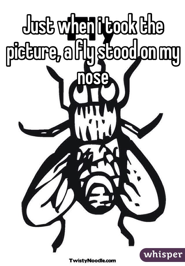 Just when i took the picture, a fly stood on my nose