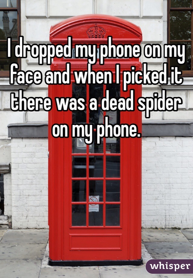 I dropped my phone on my face and when I picked it there was a dead spider on my phone.