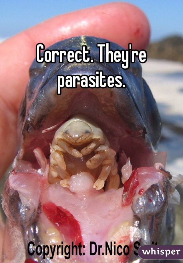 Correct. They're parasites. 