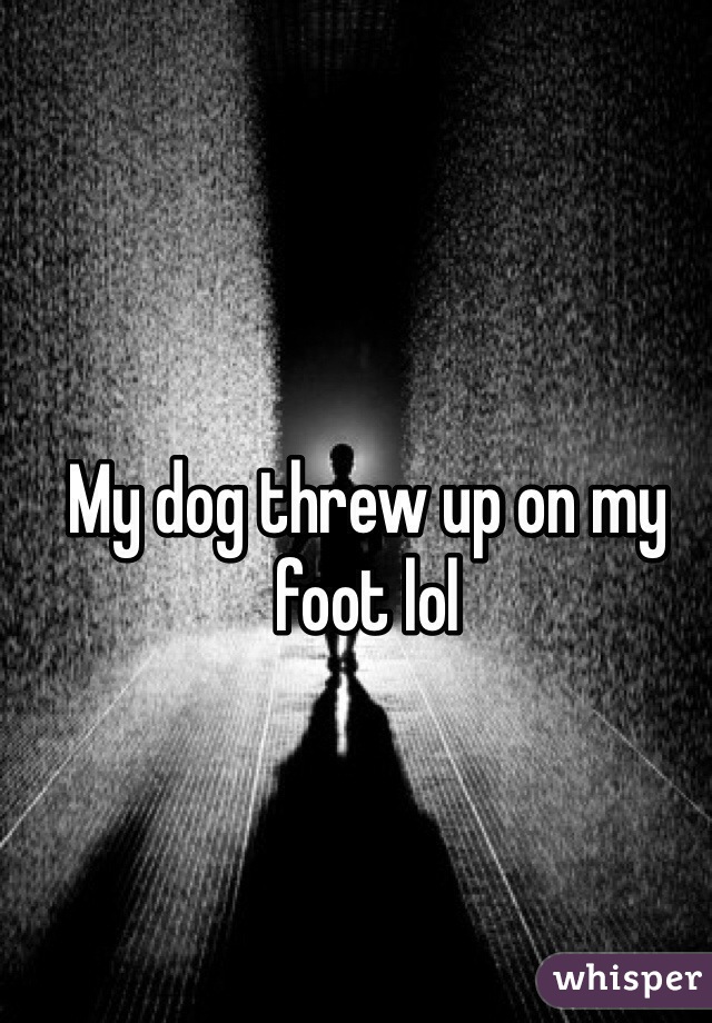 My dog threw up on my foot lol