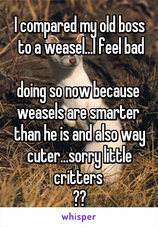 I compared my old boss
 to a weasel...I feel bad 
doing so now because 
weasels are smarter 
than he is and also way cuter...sorry little critters 
❤️