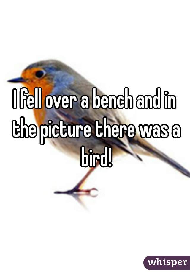 I fell over a bench and in the picture there was a bird!