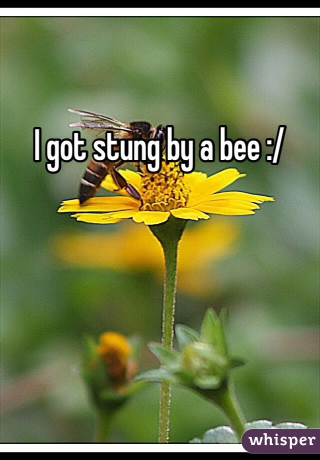 I got stung by a bee :/ 