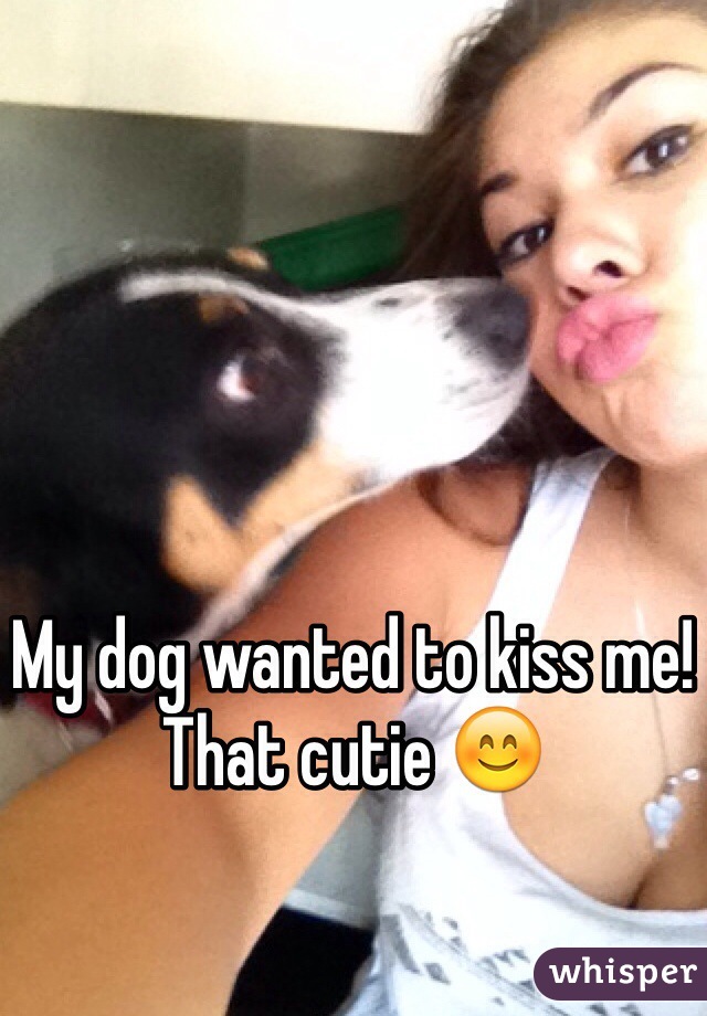 My dog wanted to kiss me! That cutie 😊