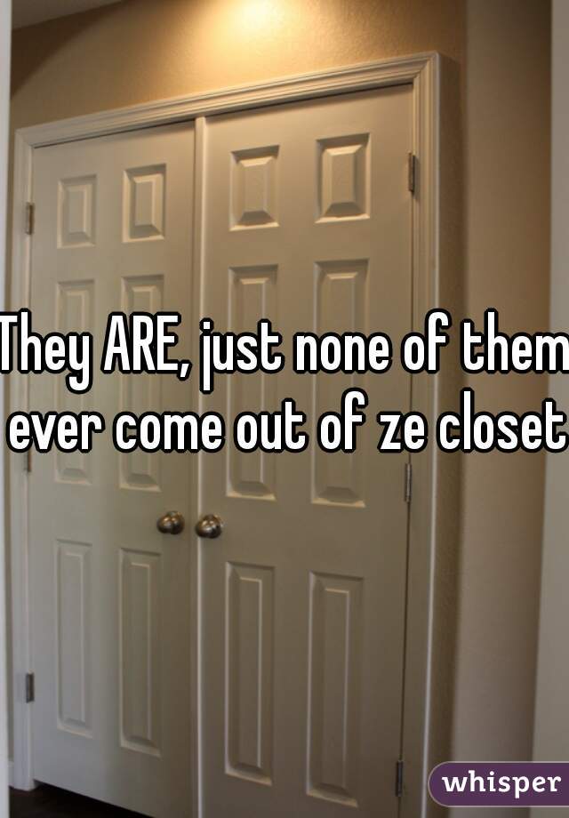 They ARE, just none of them ever come out of ze closet 