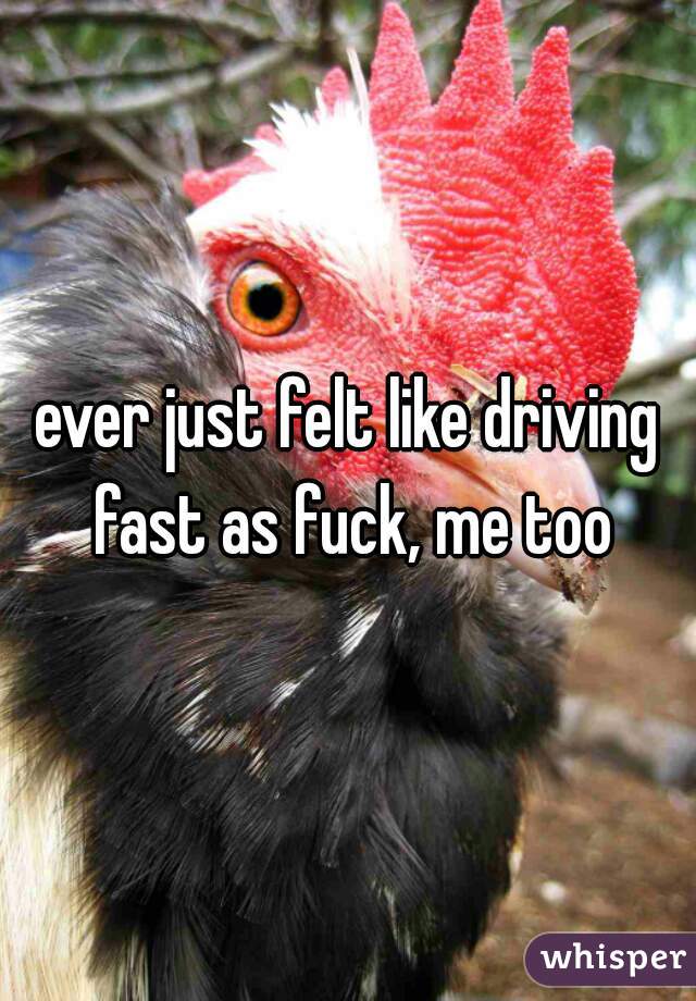 ever just felt like driving fast as fuck, me too