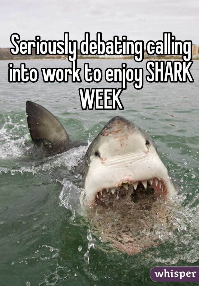 Seriously debating calling into work to enjoy SHARK WEEK