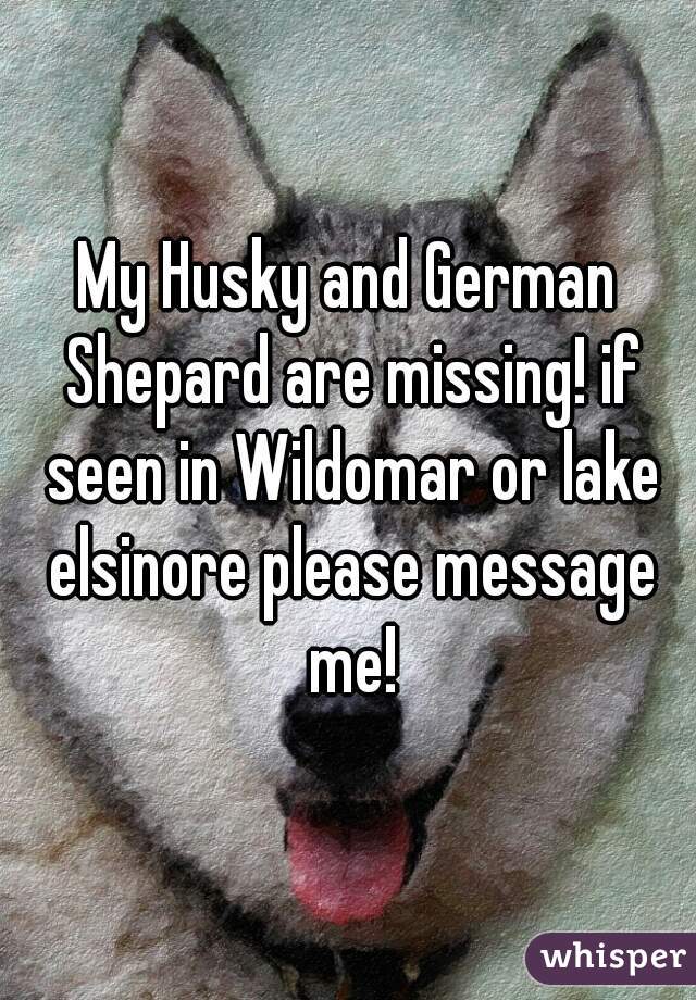 My Husky and German Shepard are missing! if seen in Wildomar or lake elsinore please message me!