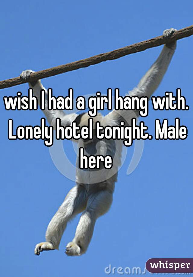 wish I had a girl hang with. Lonely hotel tonight. Male here 