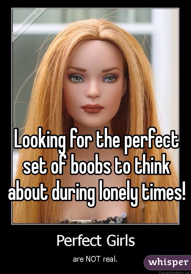 Looking for the perfect set of boobs to think about during lonely times!