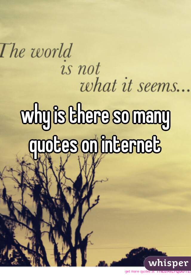 why is there so many quotes on internet 