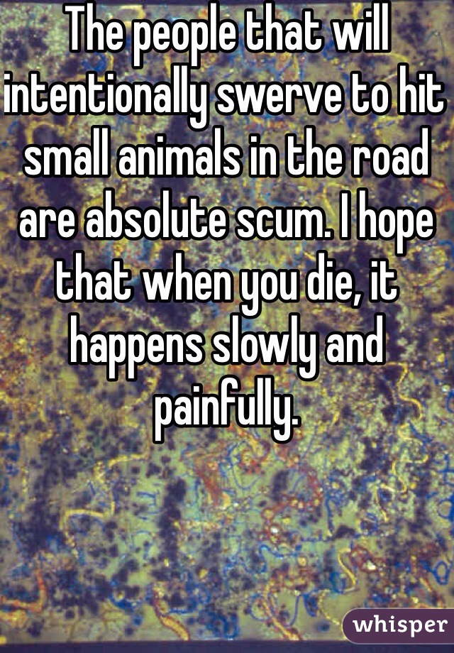 The people that will intentionally swerve to hit small animals in the road are absolute scum. I hope that when you die, it happens slowly and painfully. 