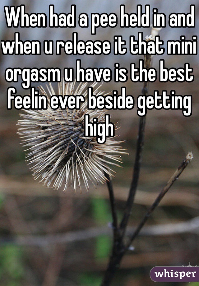 When had a pee held in and when u release it that mini orgasm u have is the best feelin ever beside getting high  