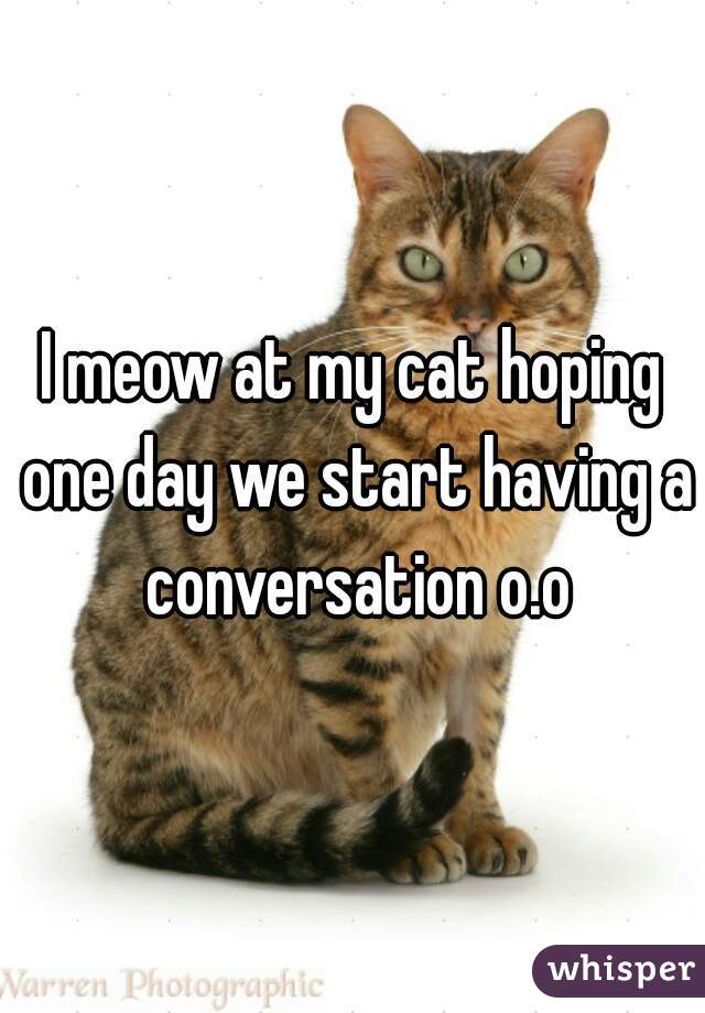 I meow at my cat hoping one day we start having a conversation o.o