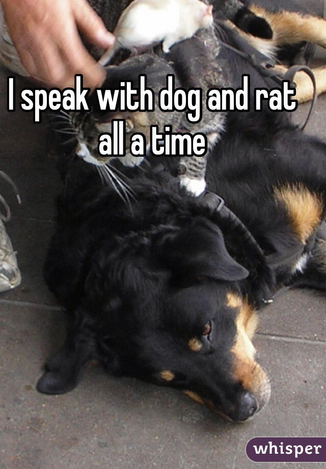 I speak with dog and rat all a time