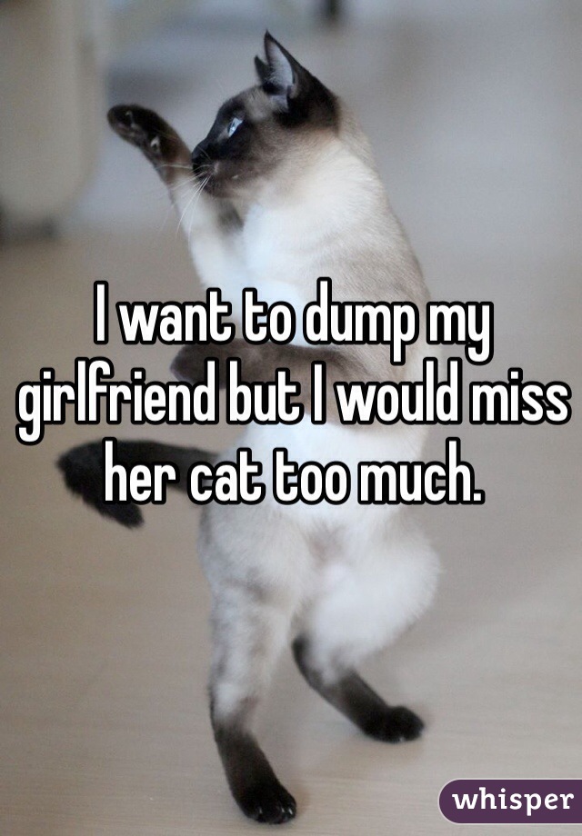 I want to dump my girlfriend but I would miss her cat too much.