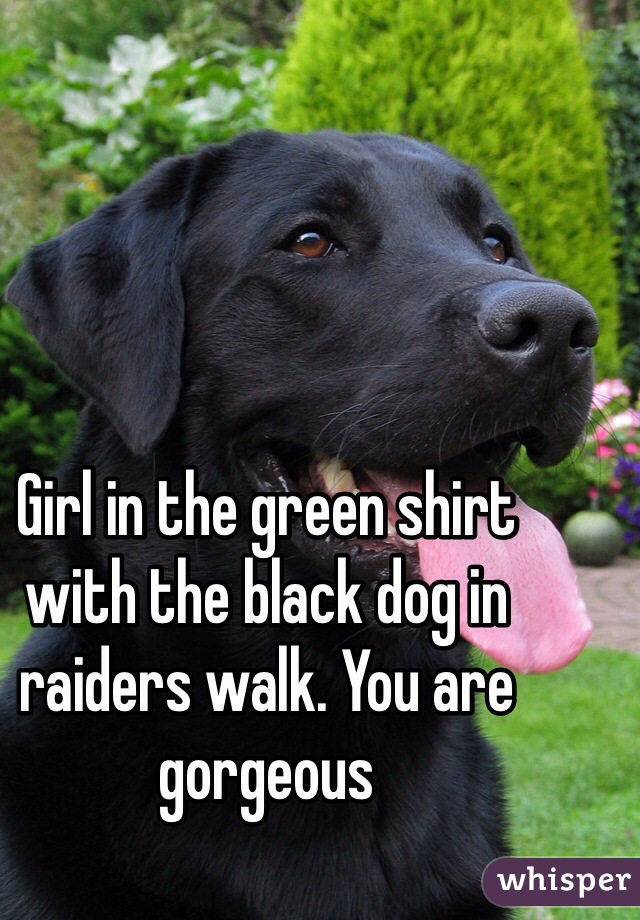 Girl in the green shirt with the black dog in raiders walk. You are gorgeous 