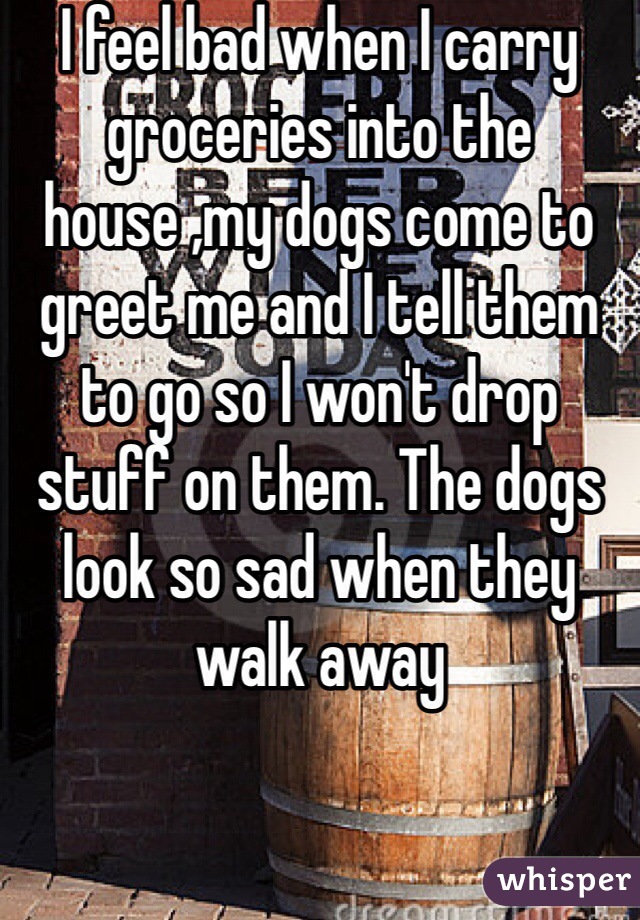 I feel bad when I carry groceries into the house ,my dogs come to greet me and I tell them to go so I won't drop stuff on them. The dogs look so sad when they walk away