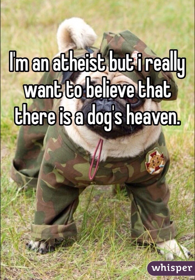 I'm an atheist but i really want to believe that there is a dog's heaven.