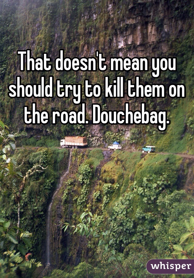 That doesn't mean you should try to kill them on the road. Douchebag. 