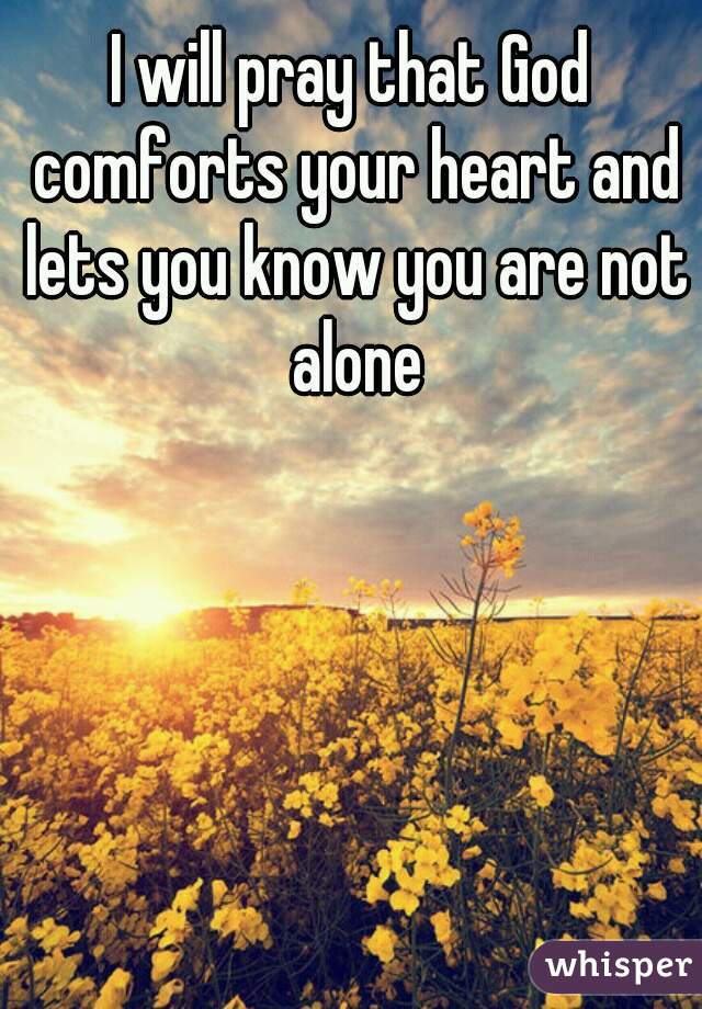 I will pray that God comforts your heart and lets you know you are not alone