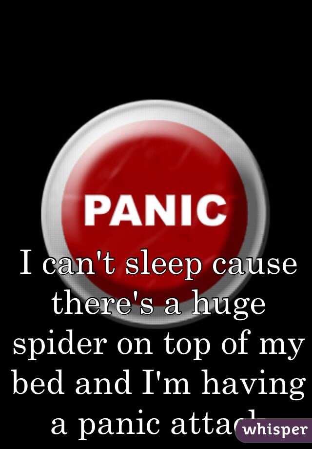 I can't sleep cause there's a huge spider on top of my bed and I'm having a panic attack 