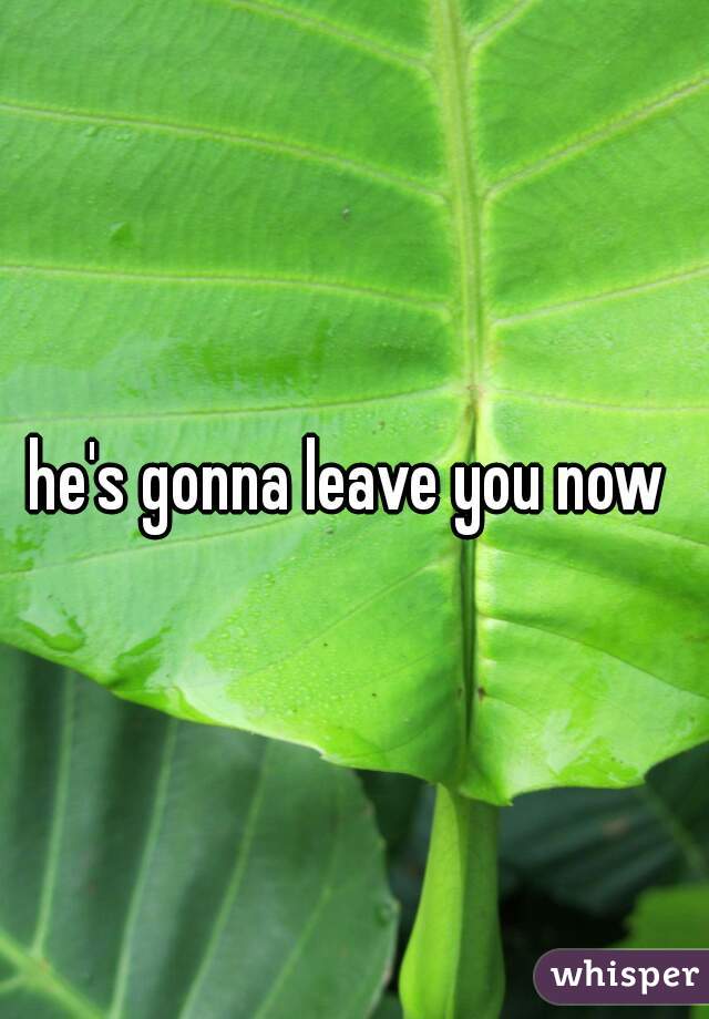 he's gonna leave you now 