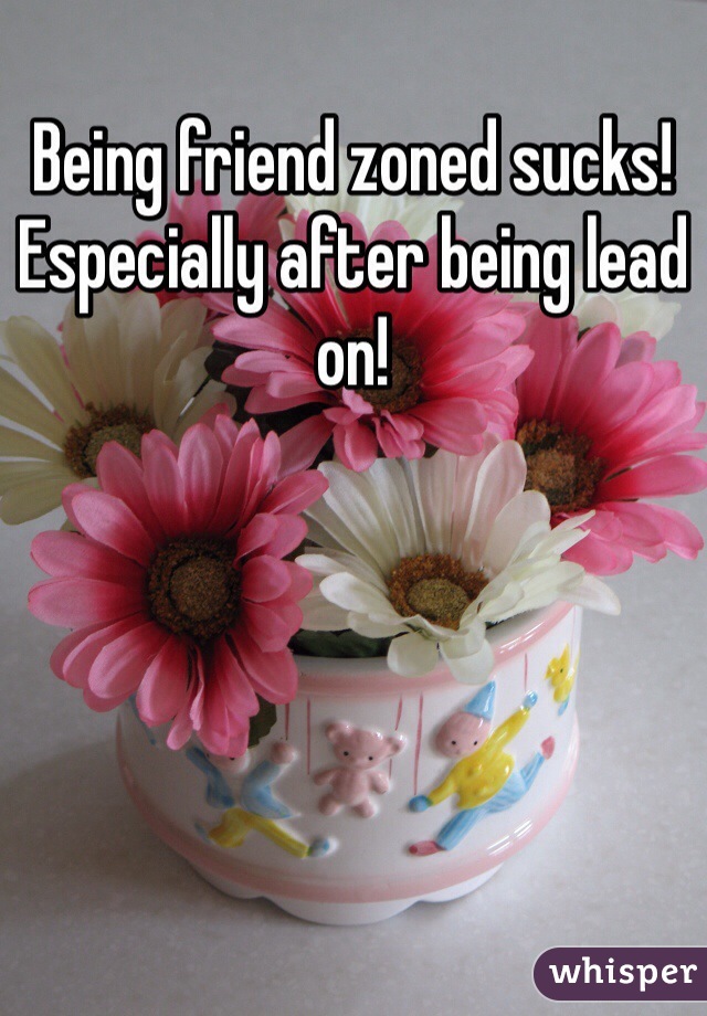 Being friend zoned sucks! 
Especially after being lead on! 