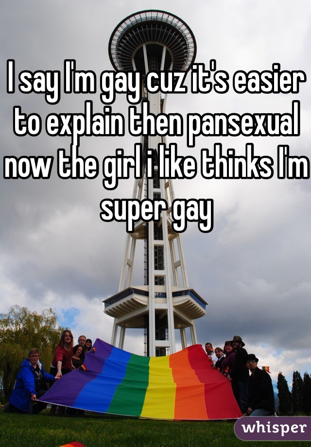 I say I'm gay cuz it's easier to explain then pansexual now the girl i like thinks I'm super gay
