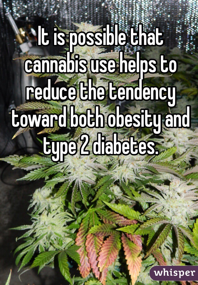 It is possible that cannabis use helps to reduce the tendency toward both obesity and type 2 diabetes.