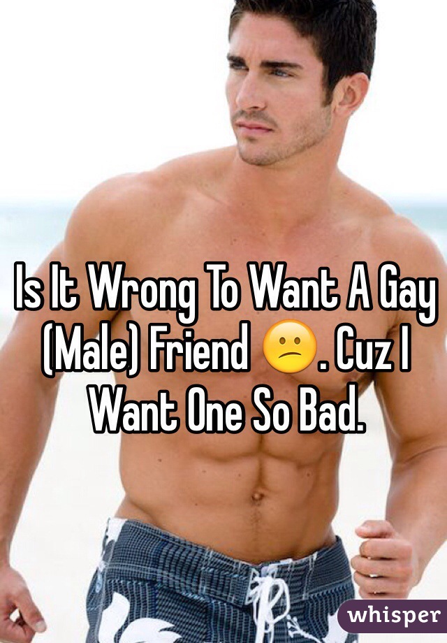 Is It Wrong To Want A Gay (Male) Friend 😕. Cuz I Want One So Bad. 