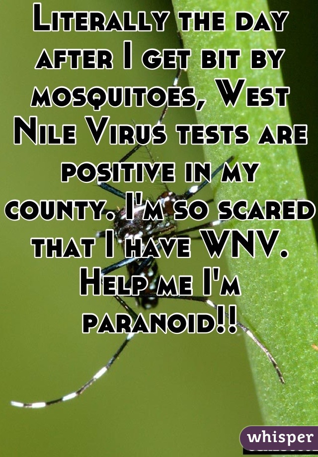 Literally the day after I get bit by mosquitoes, West Nile Virus tests are positive in my county. I'm so scared that I have WNV. Help me I'm paranoid!!