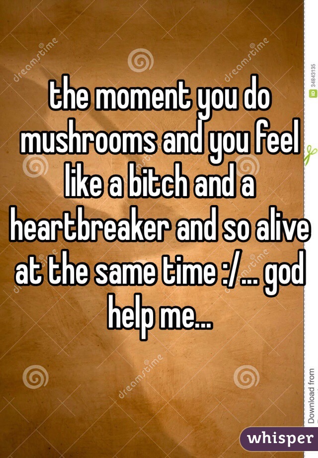 the moment you do mushrooms and you feel like a bitch and a heartbreaker and so alive at the same time :/... god help me...