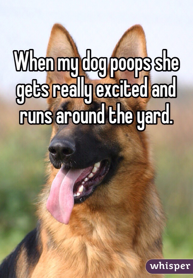When my dog poops she gets really excited and runs around the yard.