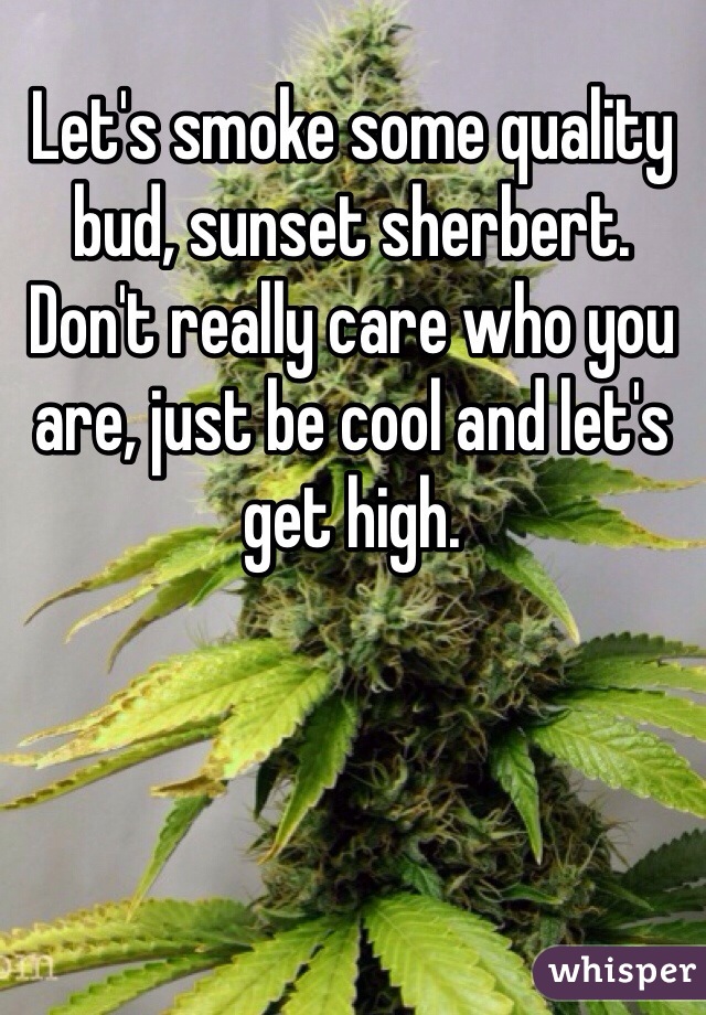 Let's smoke some quality bud, sunset sherbert. Don't really care who you are, just be cool and let's get high.