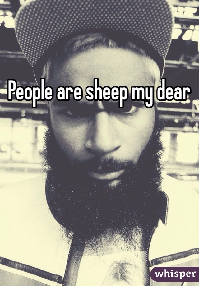 People are sheep my dear 